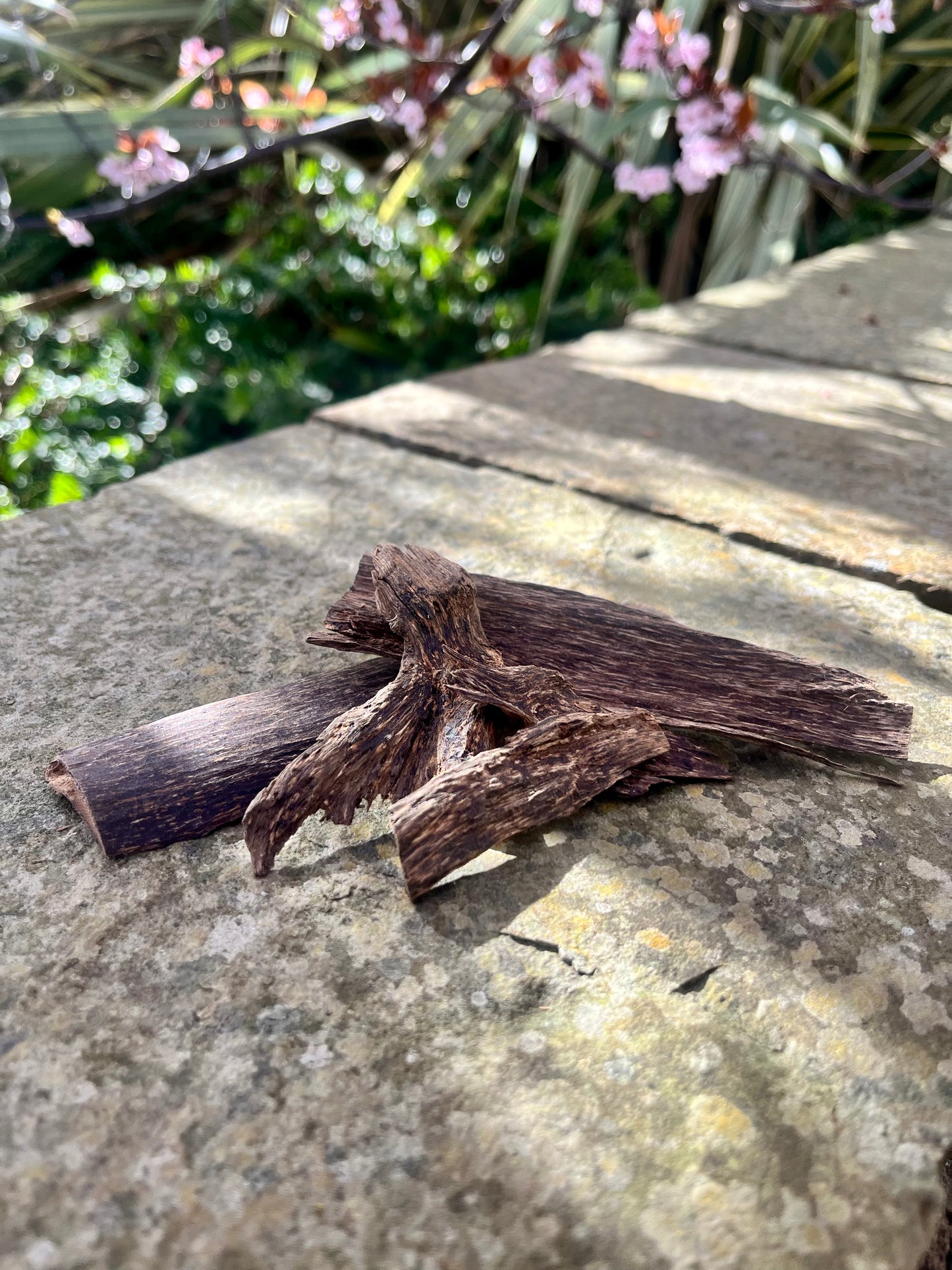 Pahang Wood Chips